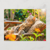 Katze schläft in einem Gartensessel zwischen Blume