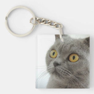 Katze Schlüsselanhänger