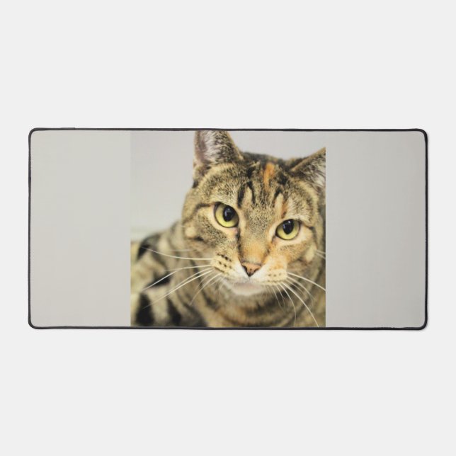 Katze Schreibtischunterlage (Vorderseite)