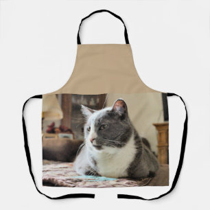 Katze Schürze