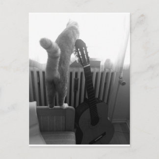 Katze Schwanz. Schwarz/Weiß Postkarte