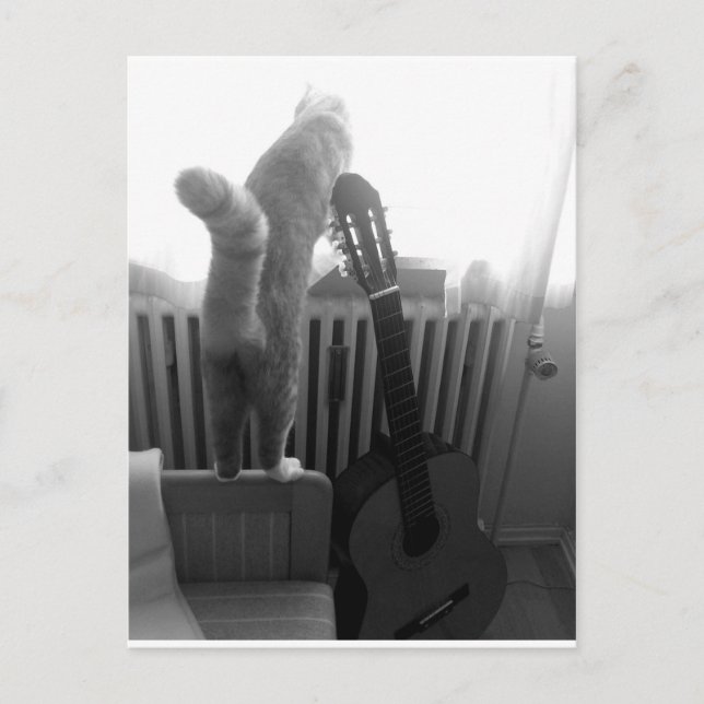 Katze Schwanz. Schwarz/Weiß Postkarte (Vorderseite)