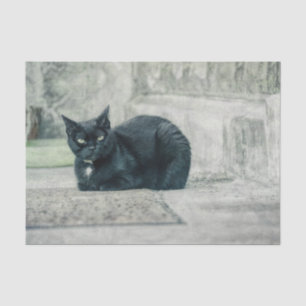 Katze Schwarz Süß Vintage Antik Decoupage Seidenpapier