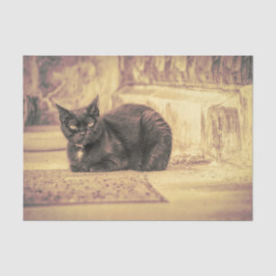 Katze Schwarz Süß Vintage Antik Sepia Kunst Seidenpapier