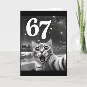 Katze Selfie Mit 67 Meme Lustige Katzen Grafik Für Karte