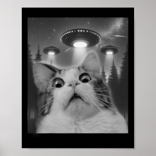 Katze Selfie mit Ufos Poster