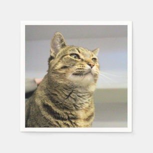 Katze Serviette