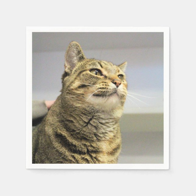 Katze Serviette (Vorderseite)