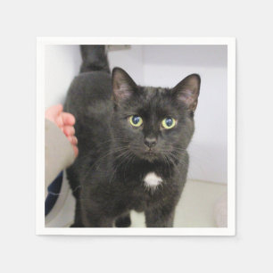 Katze Serviette