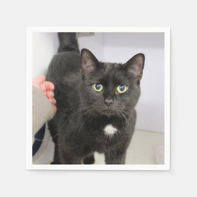 Katze Serviette (Vorderseite)