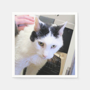 Katze Serviette