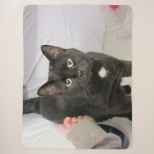 Katze Sherpadecke