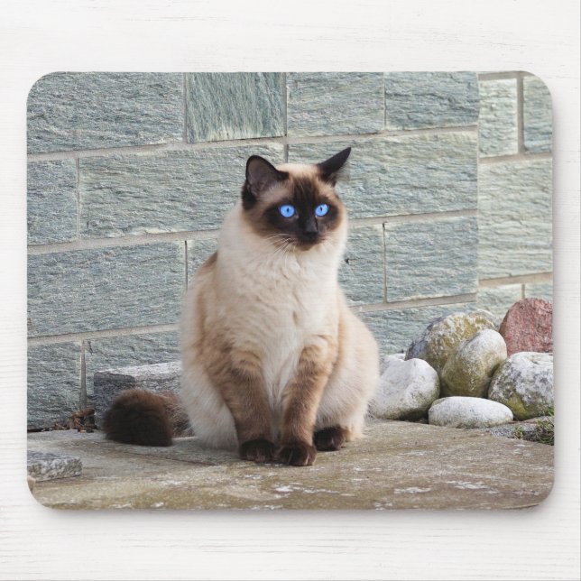 Katze, Siamesen, Tier Mousepad (Vorne)
