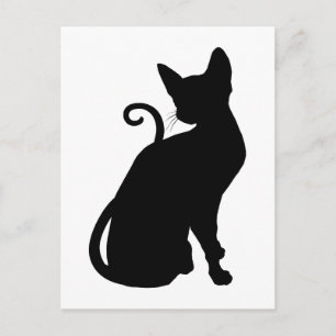 Katze Silhouette Postkarte