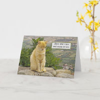 KATZE SITZT AUF EINEM FELSEN, AUGEN GESCHLOSSEN, H