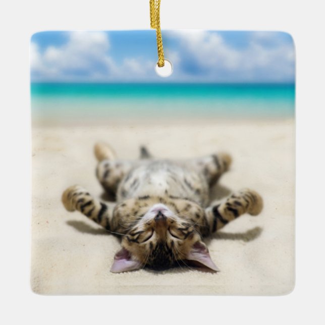 Katze Sonnenbaden am Strand Keramikornament (Vorderseite)