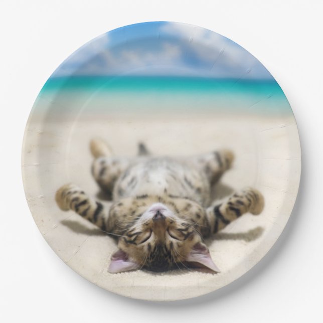 Katze Sonnenbaden am Strand Pappteller (Vorderseite)