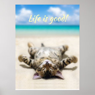 Katze Sonnenbaden am Strand Poster