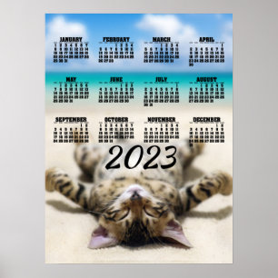 Katze sonnt sich am Strand 2023 Kalenderposter Poster