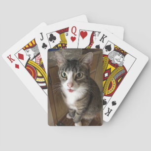 Katze Spielkarten