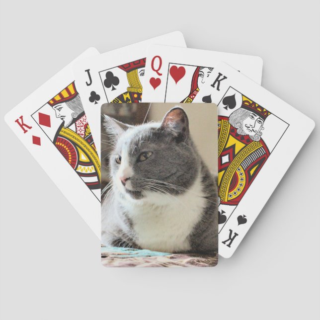 Katze Spielkarten (Rückseite)