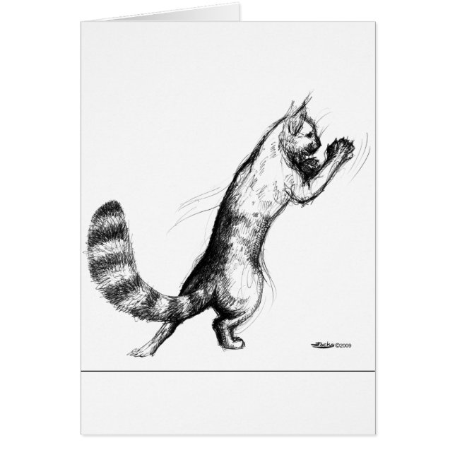 Katze Springing2 (Vorne)