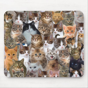 Katze stellt Muster gegenüber Mousepad