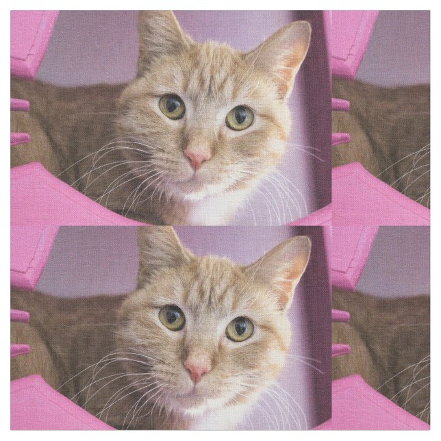 Katze Stoff (Nahaufnahme)