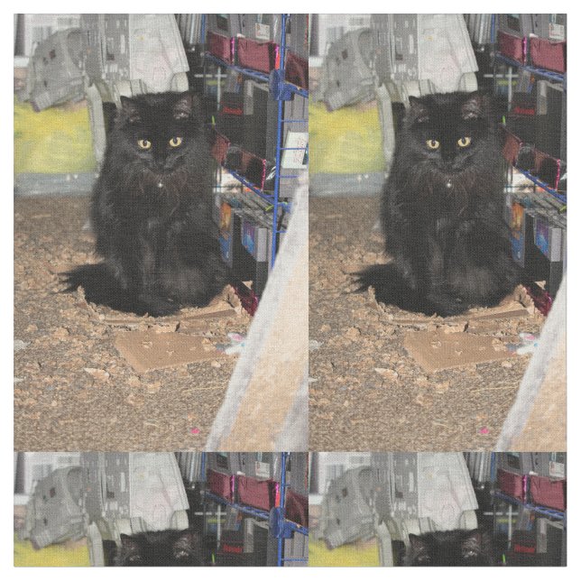 Katze Stoff (Nahaufnahme)