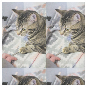 Katze Stoff
