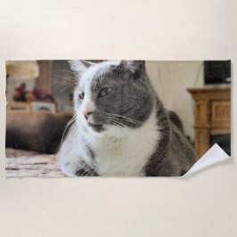 Katze Strandtuch