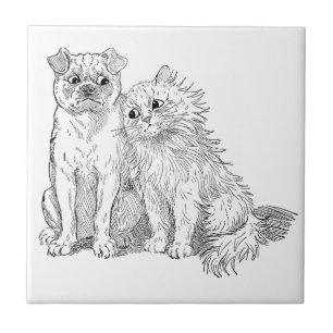 Katze streichelt bis zum Hund Fliese