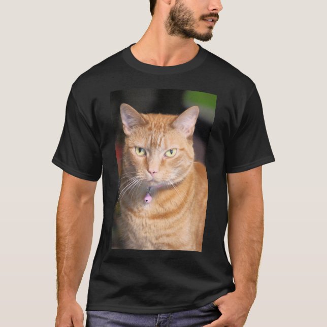 Katze T-Shirt (Vorderseite)