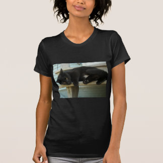 Katze T-Shirt