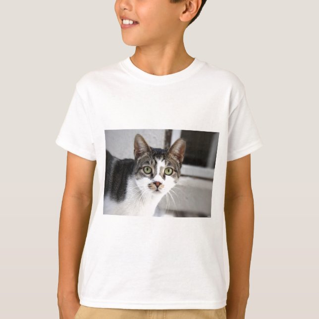 Katze T-Shirt (Vorderseite)