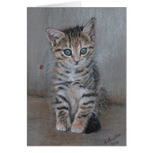 Katze, Tabby Kätzchen, nur posieren, schöne Kunst.