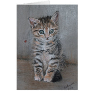 Katze, Tabby Kätzchen, nur posieren, schöne Kunst.