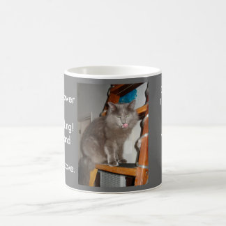 Katze Tasse