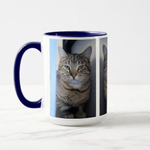 Katze Tasse