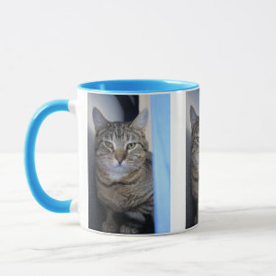 Katze Tasse