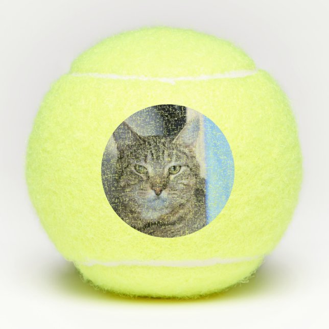Katze Tennisbälle (Vorderseite)