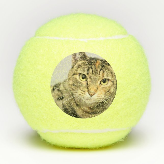Katze Tennisbälle (Vorderseite)