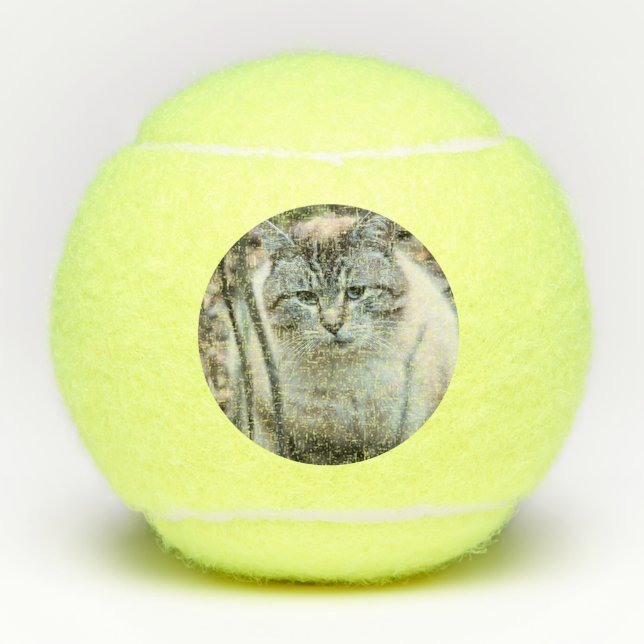 Katze Tennisbälle (Vorderseite)