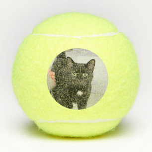 Katze Tennisbälle