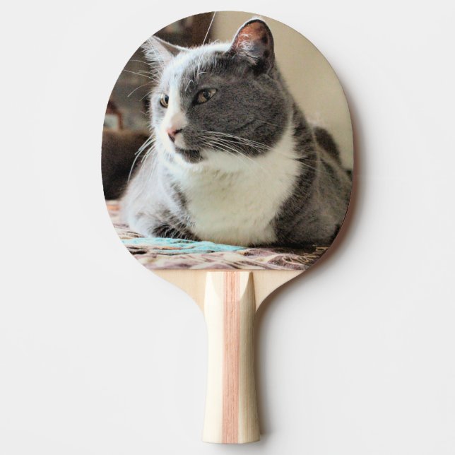 Katze Tischtennis Schläger (Vorderseite)