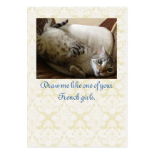 Katze Titanic Quote Brocade Geschenktag