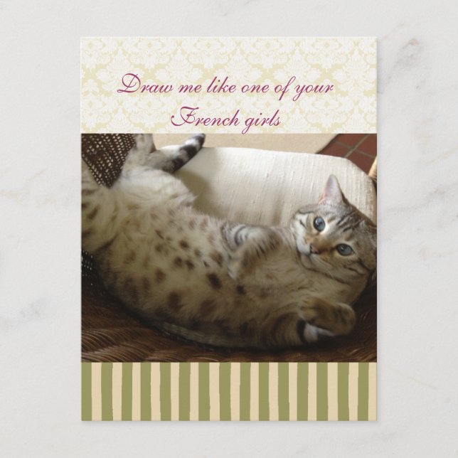 Katze Titanic Quote Brocade Strip Notecard (Vorderseite)