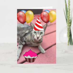 KATZE TRAARING PARTY HAT FUNNY BIRTHDAY Grußkarte Karte