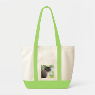 Katze Tragetasche