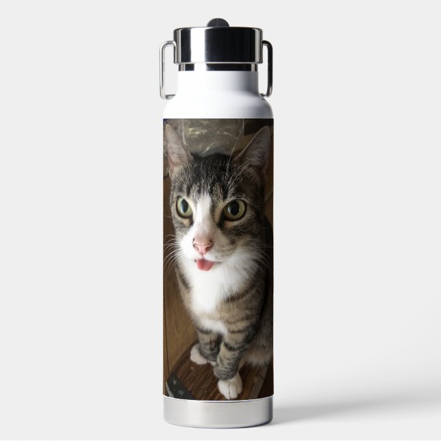 Katze Trinkflasche (Vorderseite)